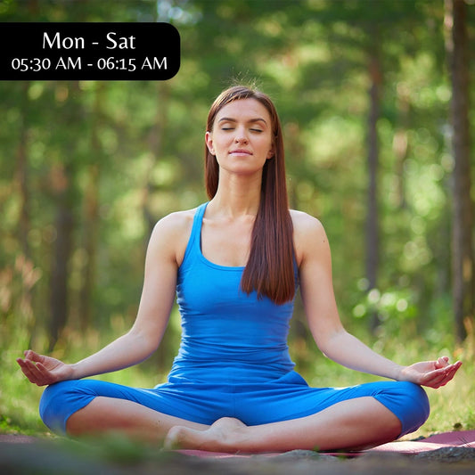 Best online Meditation Classes