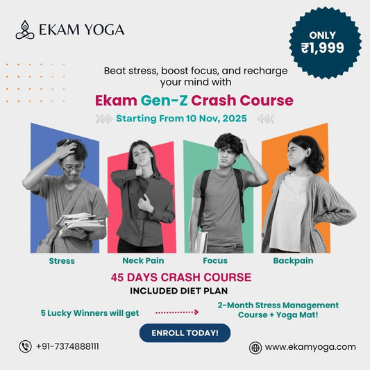 Ekam Gen-Z Crash Course