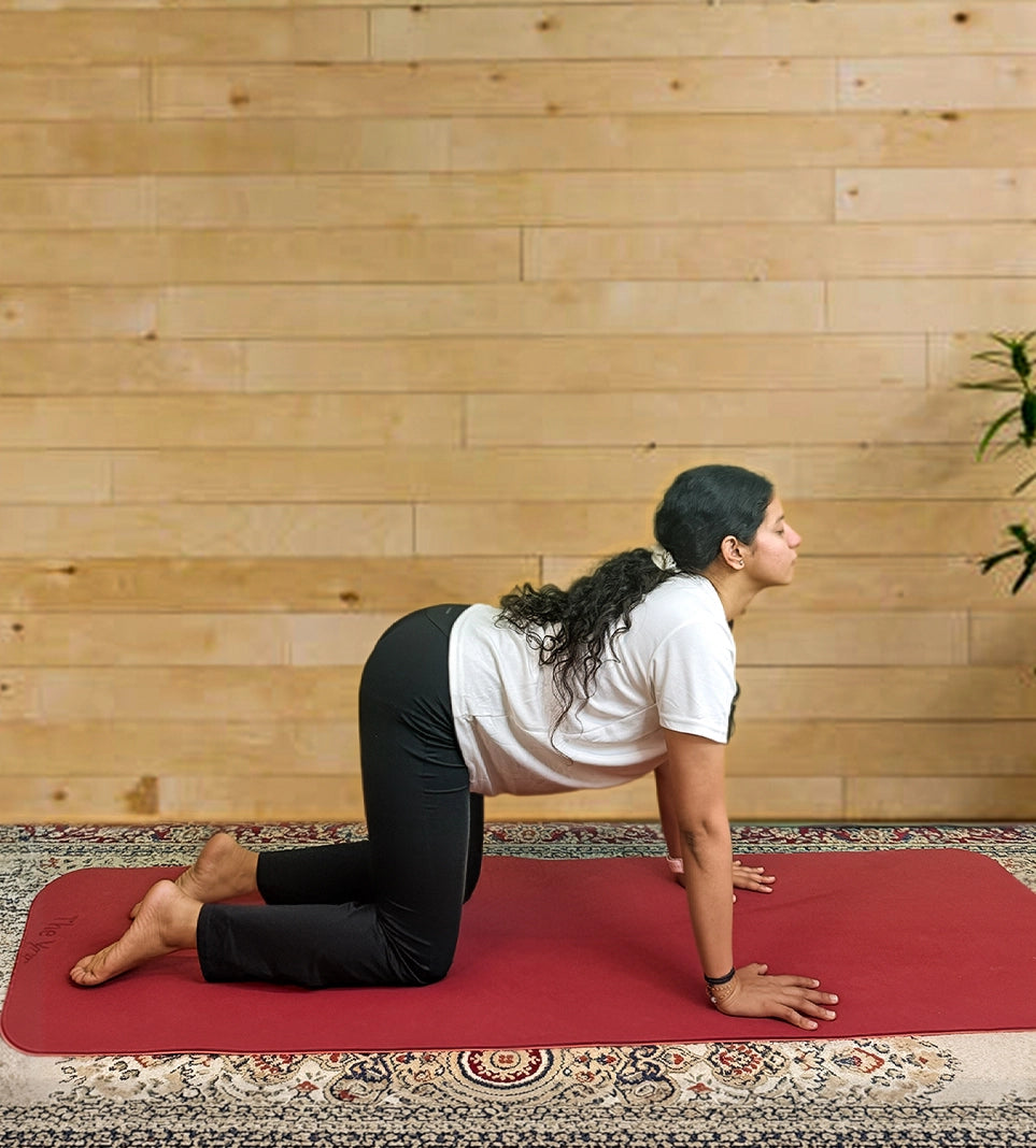 Bull Pose Yoga Poses and Asanas Glossary | Ekam Yoga